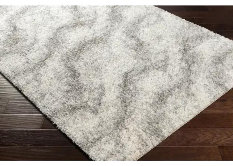 Cloudy Shag CDG-2306 7'10" x 10' Machine Woven Rug