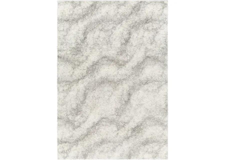 Cloudy Shag CDG-2306 7'10" x 10' Machine Woven Rug