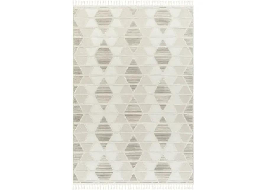 Finland FND-2301 9'2" x 12' Machine Woven Rug