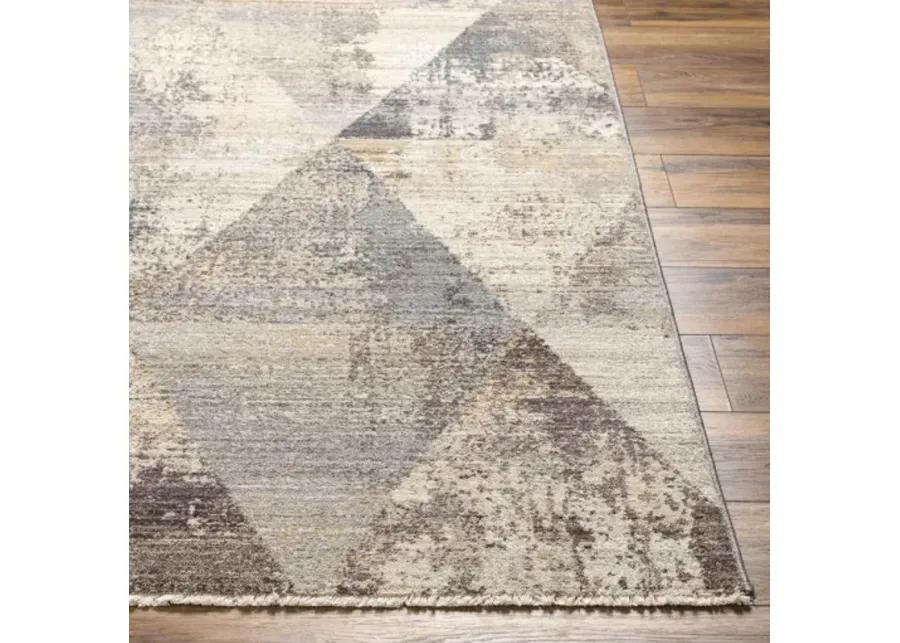 Aida AAD-2308 3'11" x 5'10" Machine Woven Rug