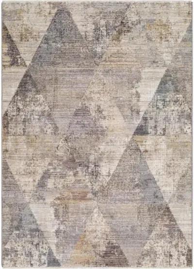 Aida AAD-2308 3'11" x 5'10" Machine Woven Rug