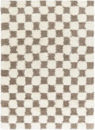 Urban Shag USG-2348 2'7" x 7'3" Machine Woven Rug