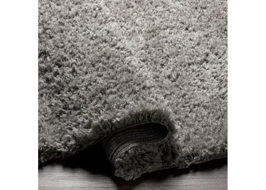 Angora 2'3" x 3'9" Rug