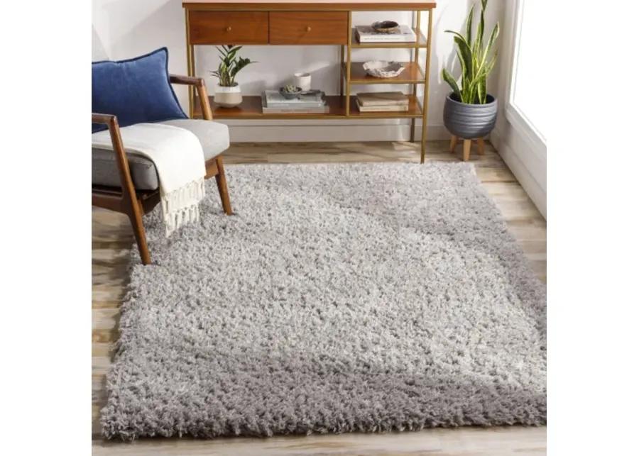 Angora 2'3" x 3'9" Rug