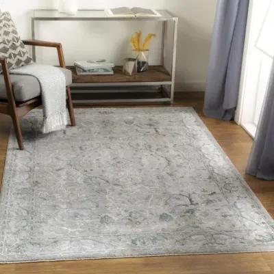 Brunswick BWK-2314 2'7" x 7'3" Rug