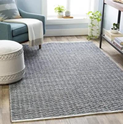 Modena 2' x 3' Rug