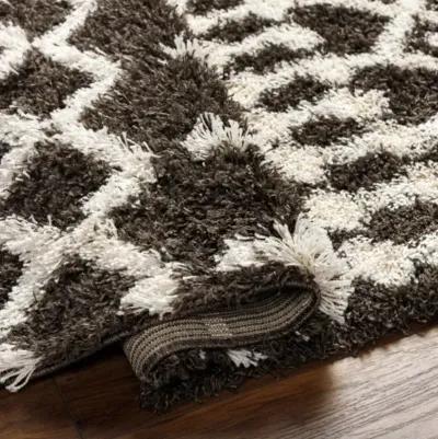 Urban Shag USG-2342 2'7" x 7'3" Machine Woven Rug