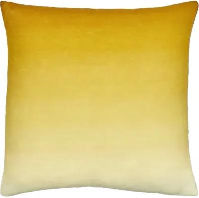 Hyrum HYR-007 22"L x 22"W Accent Pillow  - Shell Only