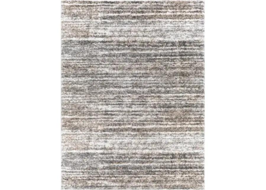 Aliyah shag 5'3" x 7'3" Rug