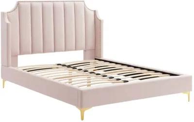 Daniella Performance Velvet Queen Platform Bed