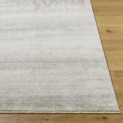 Rojin ROJ-2308 2'6" x 7'3" Machine Woven Rug