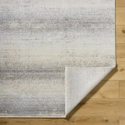 Rojin ROJ-2308 2'6" x 7'3" Machine Woven Rug