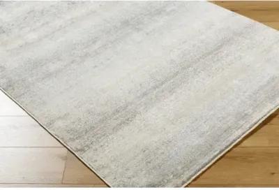 Rojin ROJ-2308 2'6" x 7'3" Machine Woven Rug