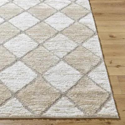 Delight Shag DEL-2306 5'3" x 7' Machine Woven Rug