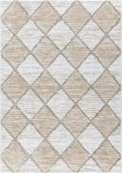 Delight Shag DEL-2306 5'3" x 7' Machine Woven Rug