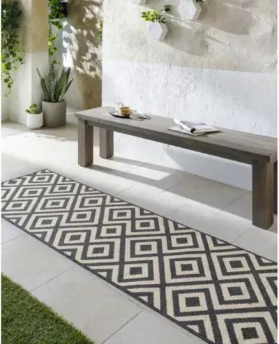 Alfresco 8'10" x 12'10" Rug