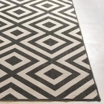 Alfresco 8'10" x 12'10" Rug