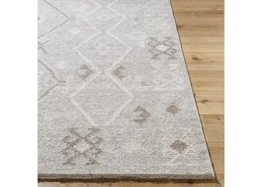 Tempe TPE-2300 5' x 7'6" Handmade Rug