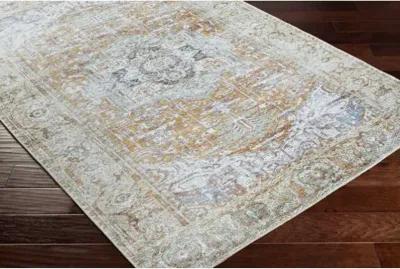 Amelie AML-2367 5'3" x 7'3" Machine Woven Rug