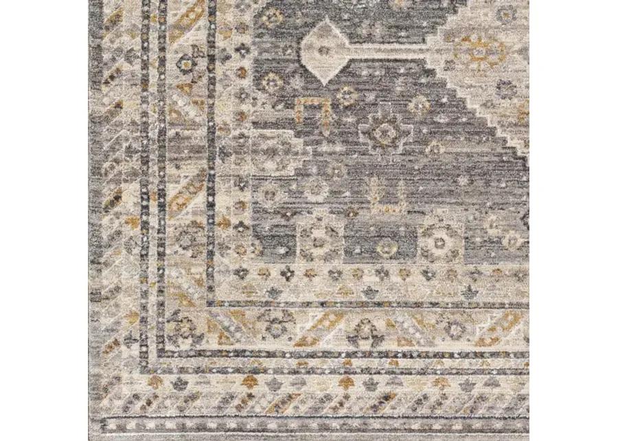 Aida AAD-2305 3'11" x 5'10" Machine Woven Rug