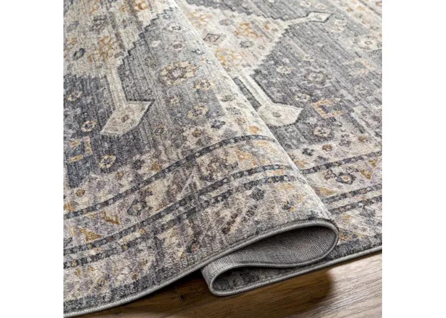 Aida AAD-2305 3'11" x 5'10" Machine Woven Rug