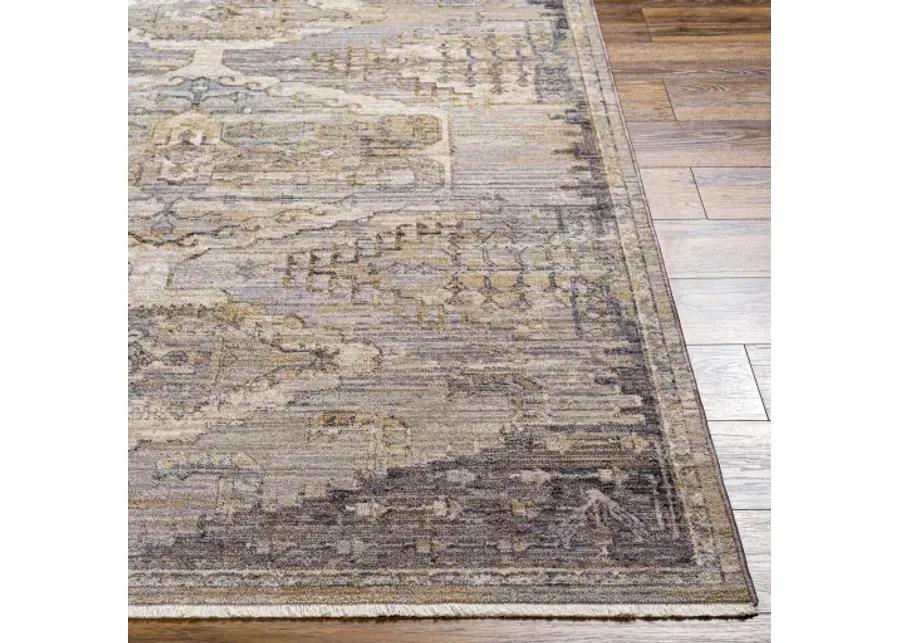 Aida AAD-2303 3'11" x 5'10" Machine Woven Rug