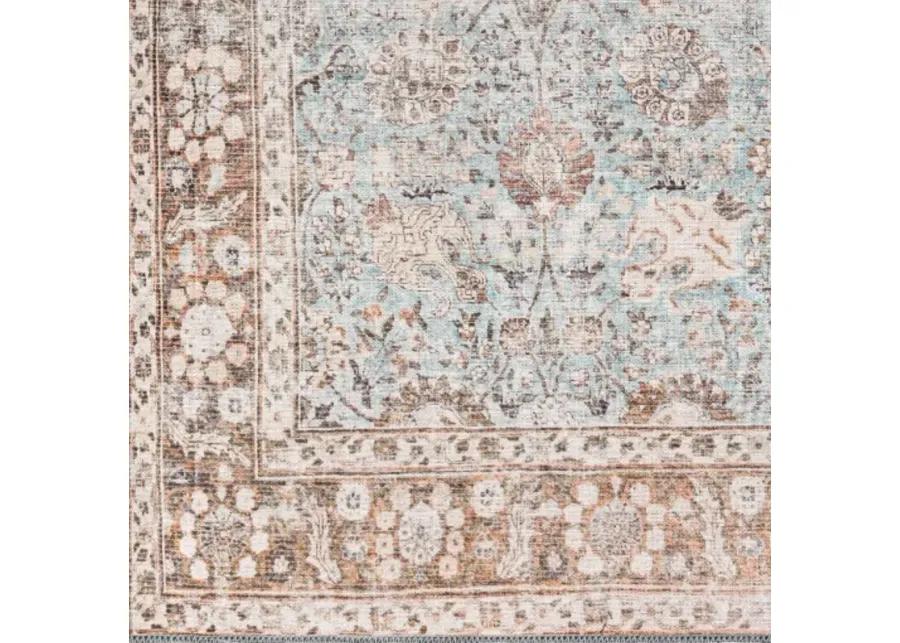 Colin CLN-2310 2'7" x 12' Rug