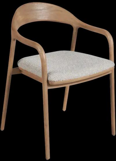 Echo Dining Arm Chair