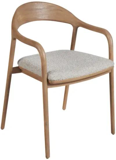 Echo Dining Arm Chair