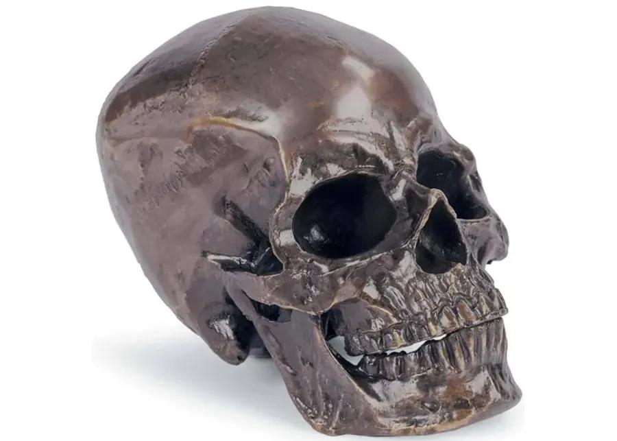 Metal Skull (Antique Bronze)