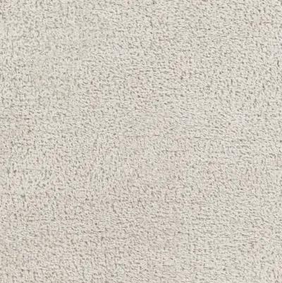 Cloudy Shag CDG-2301 7'10" x 10' Machine Woven Rug