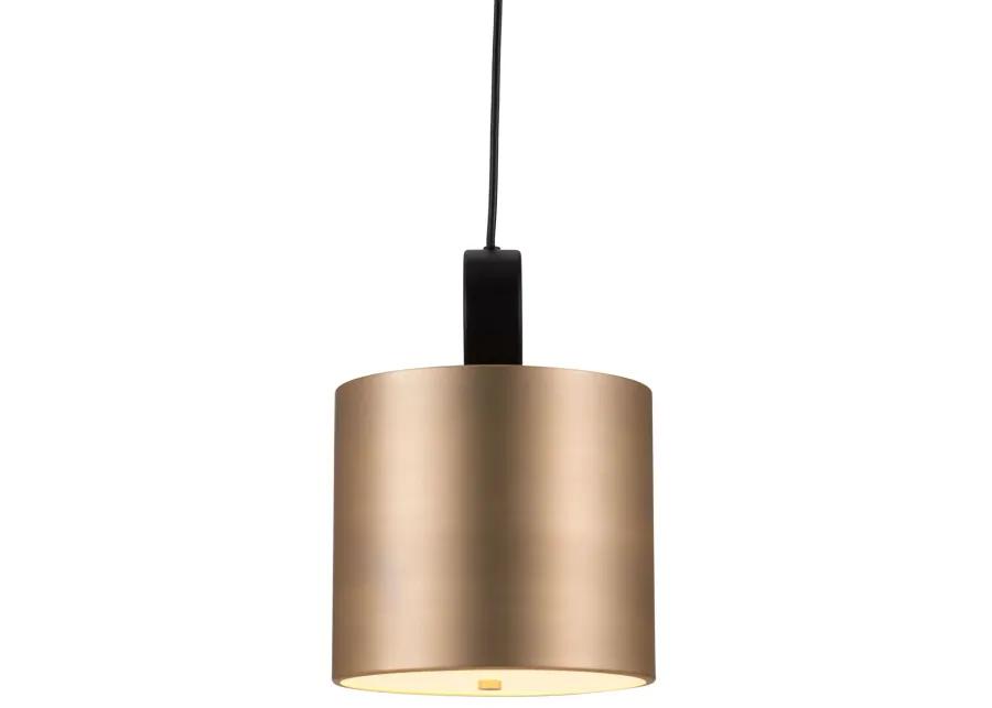 Myson Ceiling Lamp Gold & Black