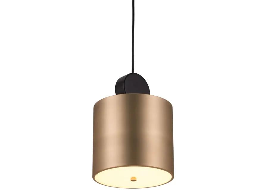 Myson Ceiling Lamp Gold & Black