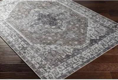 Amelie AML-2371 8'10" x 12' Machine Woven Rug