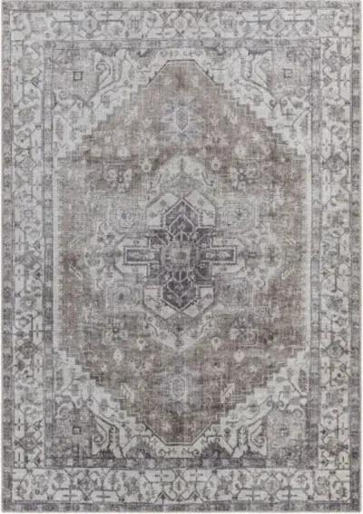 Amelie AML-2371 8'10" x 12' Machine Woven Rug