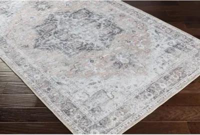 Tahmis 6'7" x 9' Rug