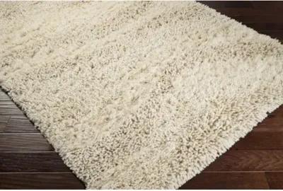 Berkley 2'6" x 8' Rug