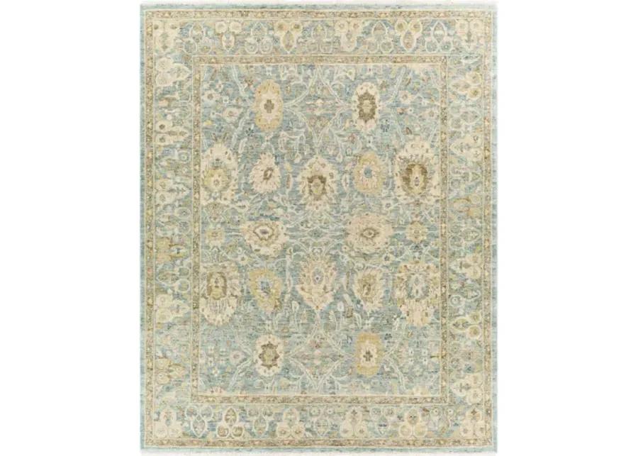 Anatolia 10' x 14' Rug