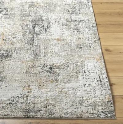 Allegro ALG-2357 6'7" x 9' Machine Woven Rug