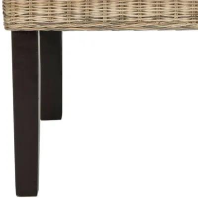 ARJUN 18''H WICKER DINING CHAIR - Set of 2