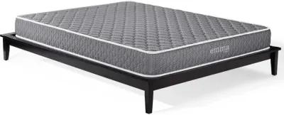 Emma 8" Queen Mattress