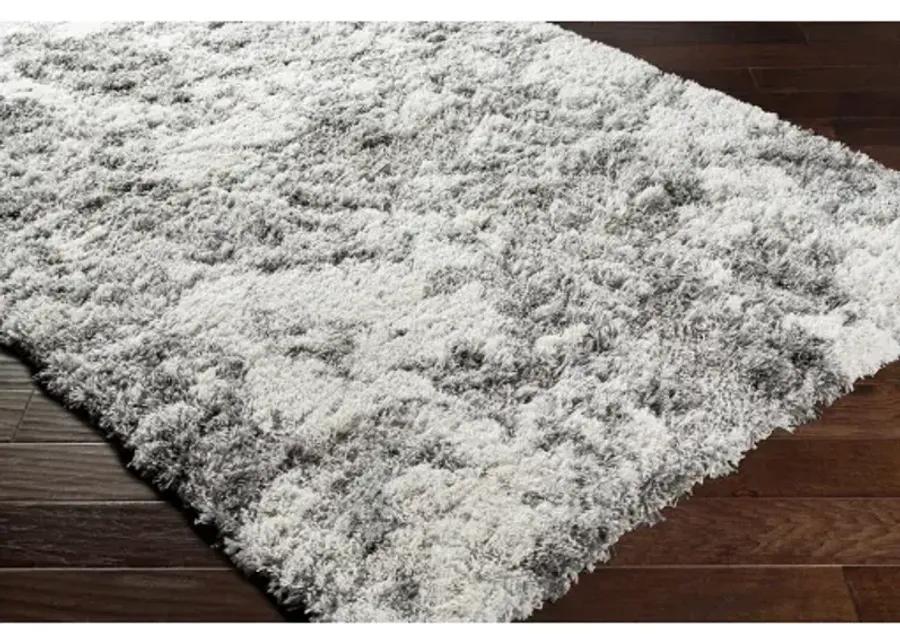 Alta shag 6'7" x 9' Rug