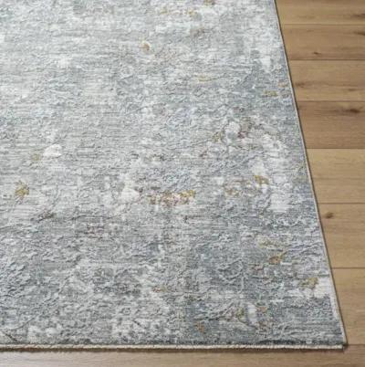 Dresden DRE-2319 2'7" x 7'3" Machine Woven Rug