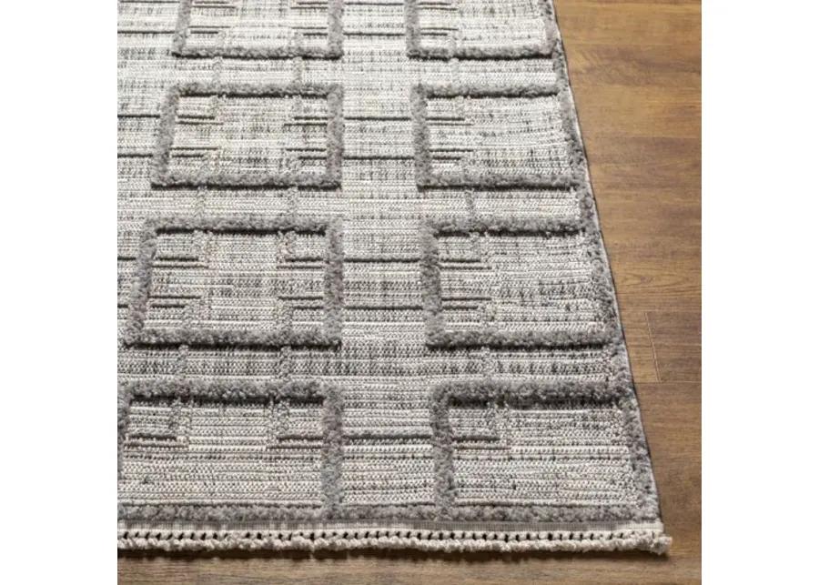 Zaragoza ZRZ-2314 2'7" x 7'3" Rug