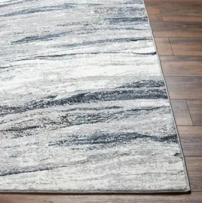 Allegro Plus AGP-2308 7'10" x 10'2" Machine Woven Rug