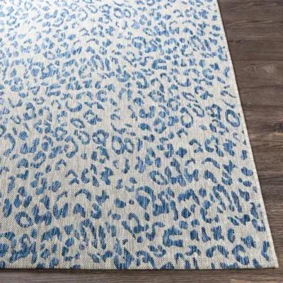 Eagean 8'10" x 12' Rug