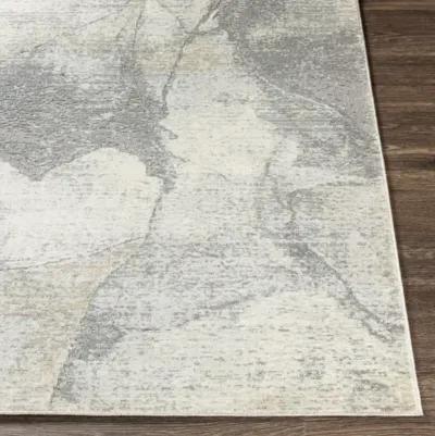 Norland 2' x 3' Rug