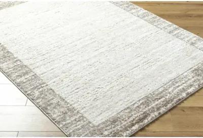 Andorra Plus ARP-2315 2' x 2'11" Machine Woven Rug