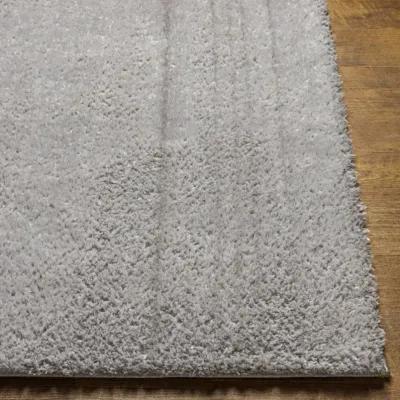 Cloudy Shag CDG-2303 5'3" x 7' Machine Woven Rug