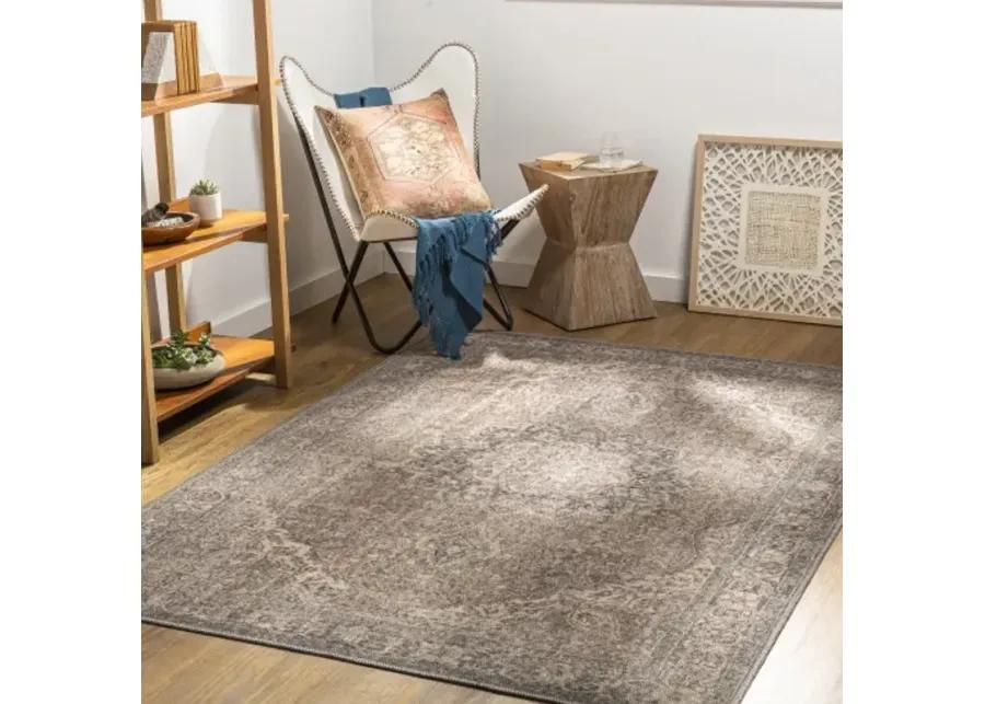 Colin 7'10" x 10'2" Rug